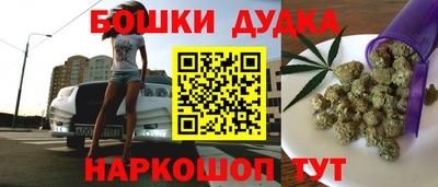 гидра Будённовск